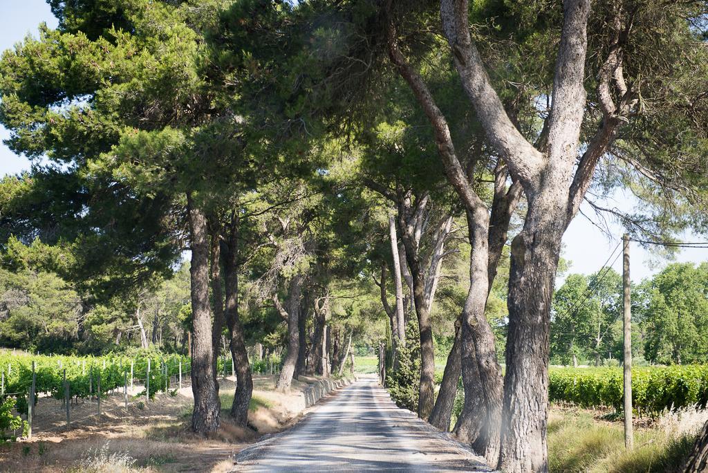 Villa Chateau Canet Rustiques Exterior foto